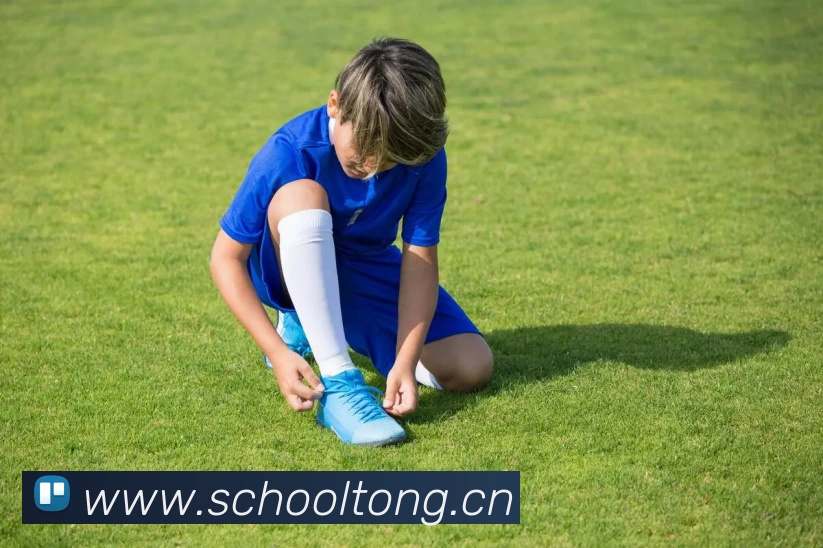 App Interface Preview